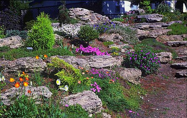 garden landscaping natural stones