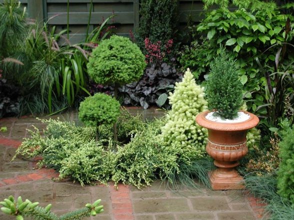 landscaping garden plants