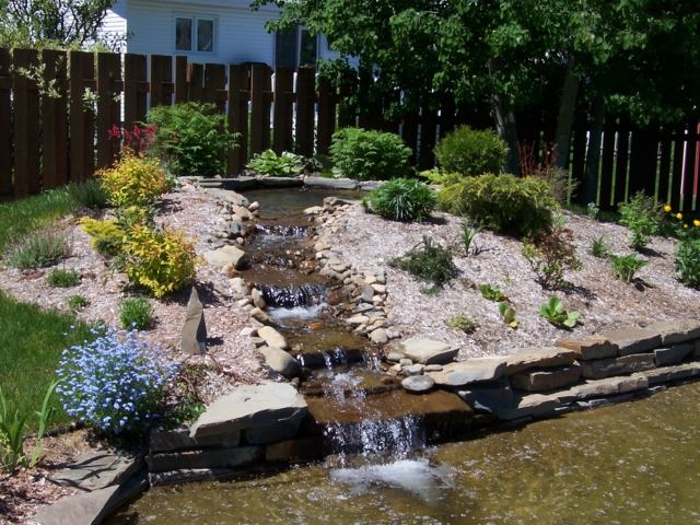 landscaping aquatic basin