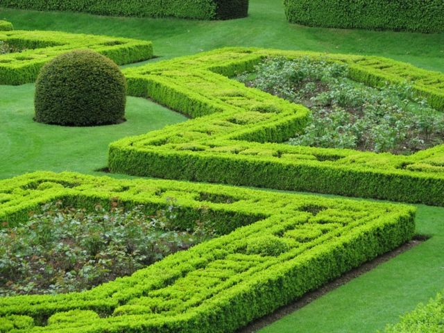 landscaping garden