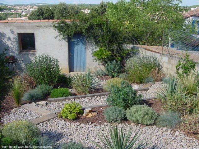 landscaping dry garden