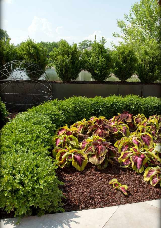 landscaping plants