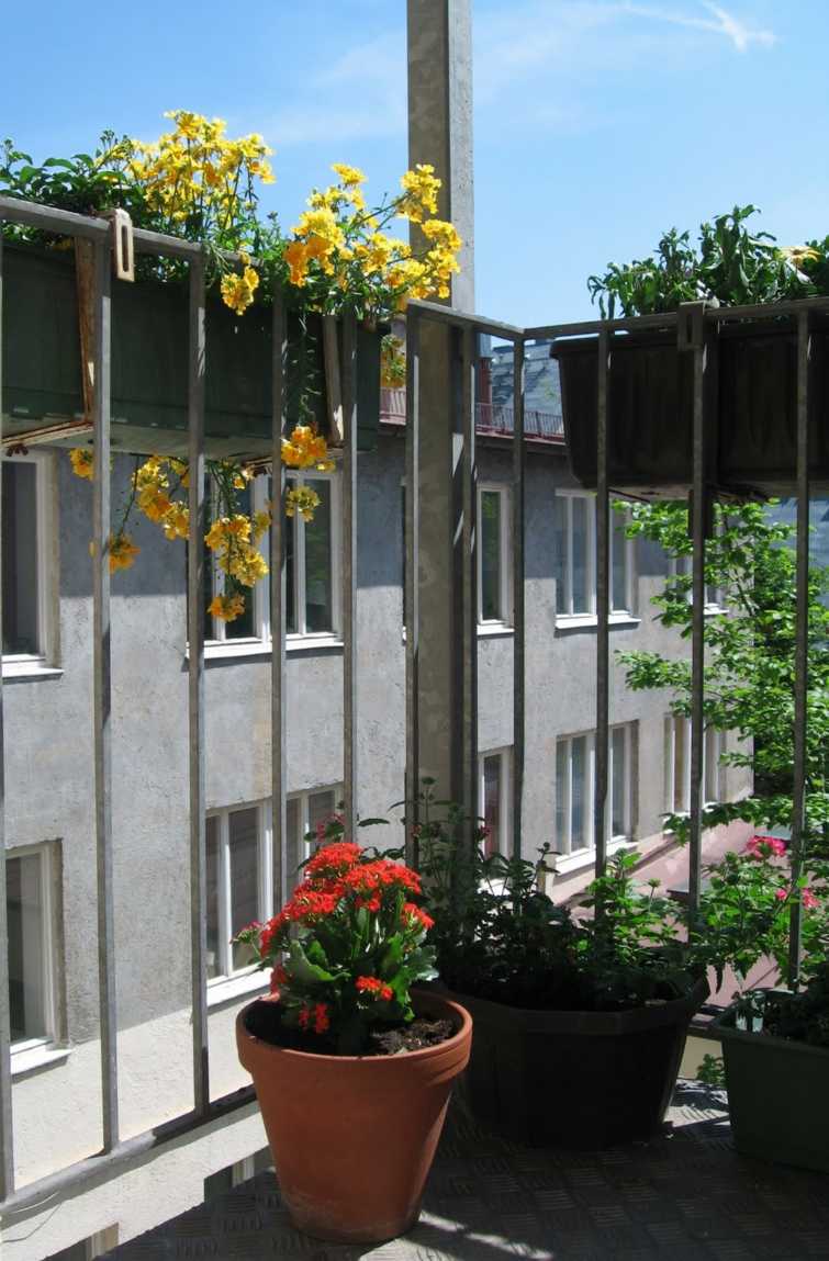 landscaping balcony flowers