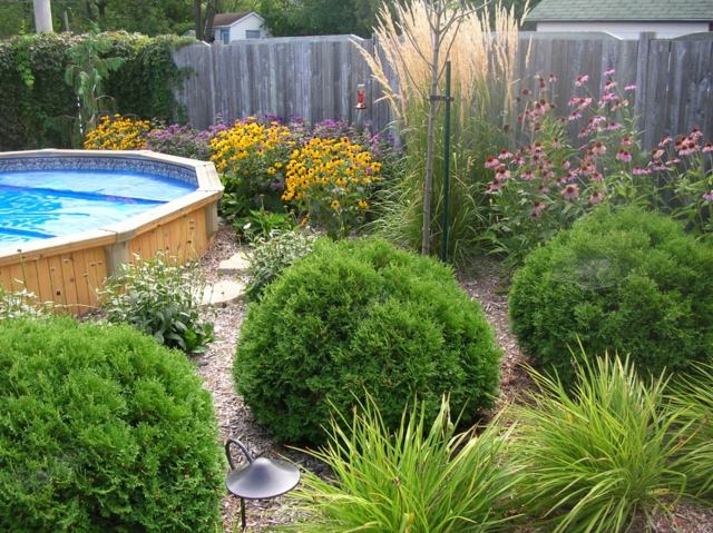 garden landscaping swimming pool