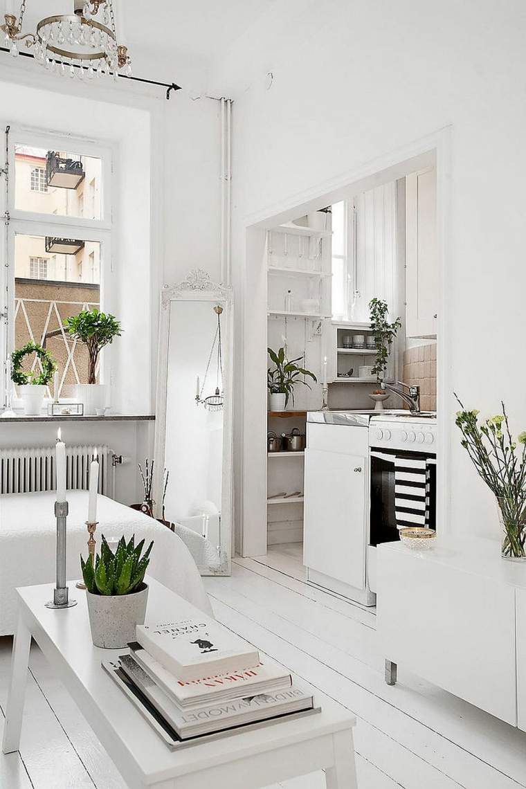 small studio kitchen Scandinavian deco