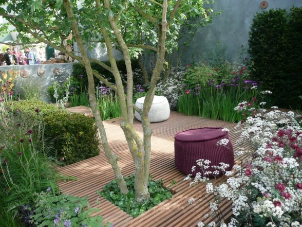 landscaping terrace garden woods trees