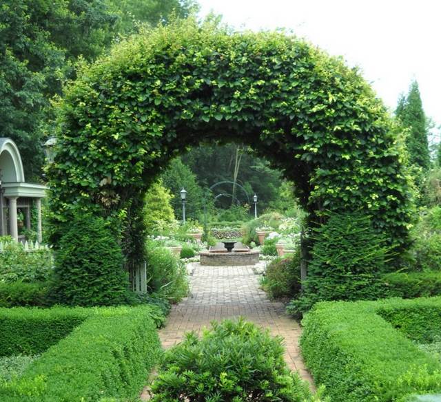 arrangement fountain idea plant space stone