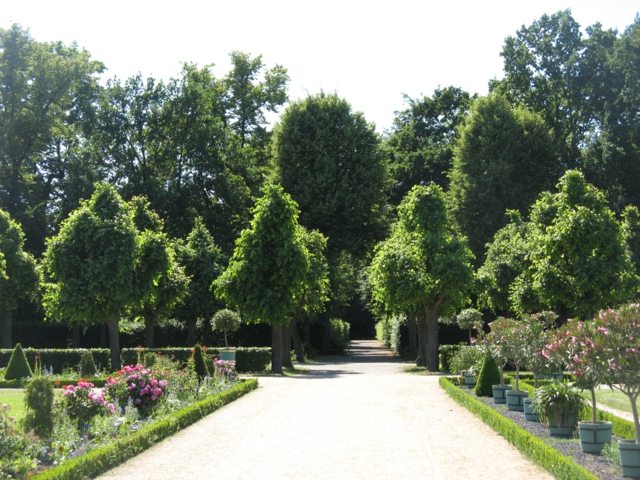 to develop his baroque garden