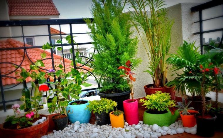 arrange a balcony plants greenery colors