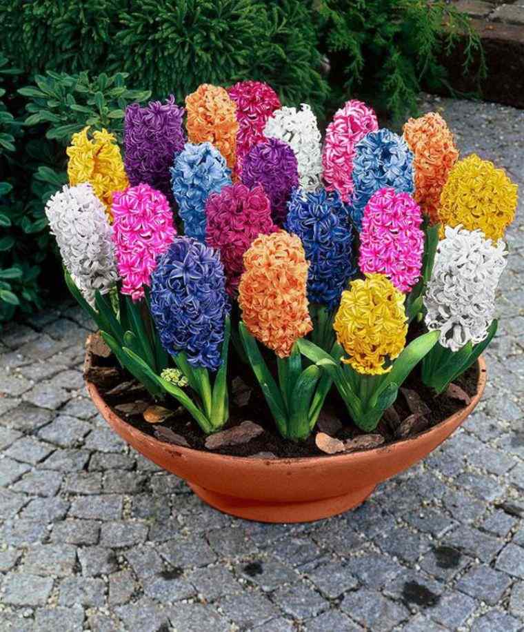 arrange an original terrace example flower arrangement outdoor flower pot