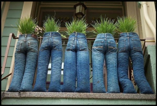 humorous approach planters shaped jeans