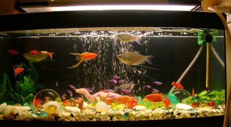 aquarium decoration fish idea lighting stone