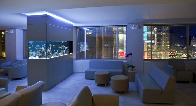 moderna akvariet vardagsrum separationsskåp