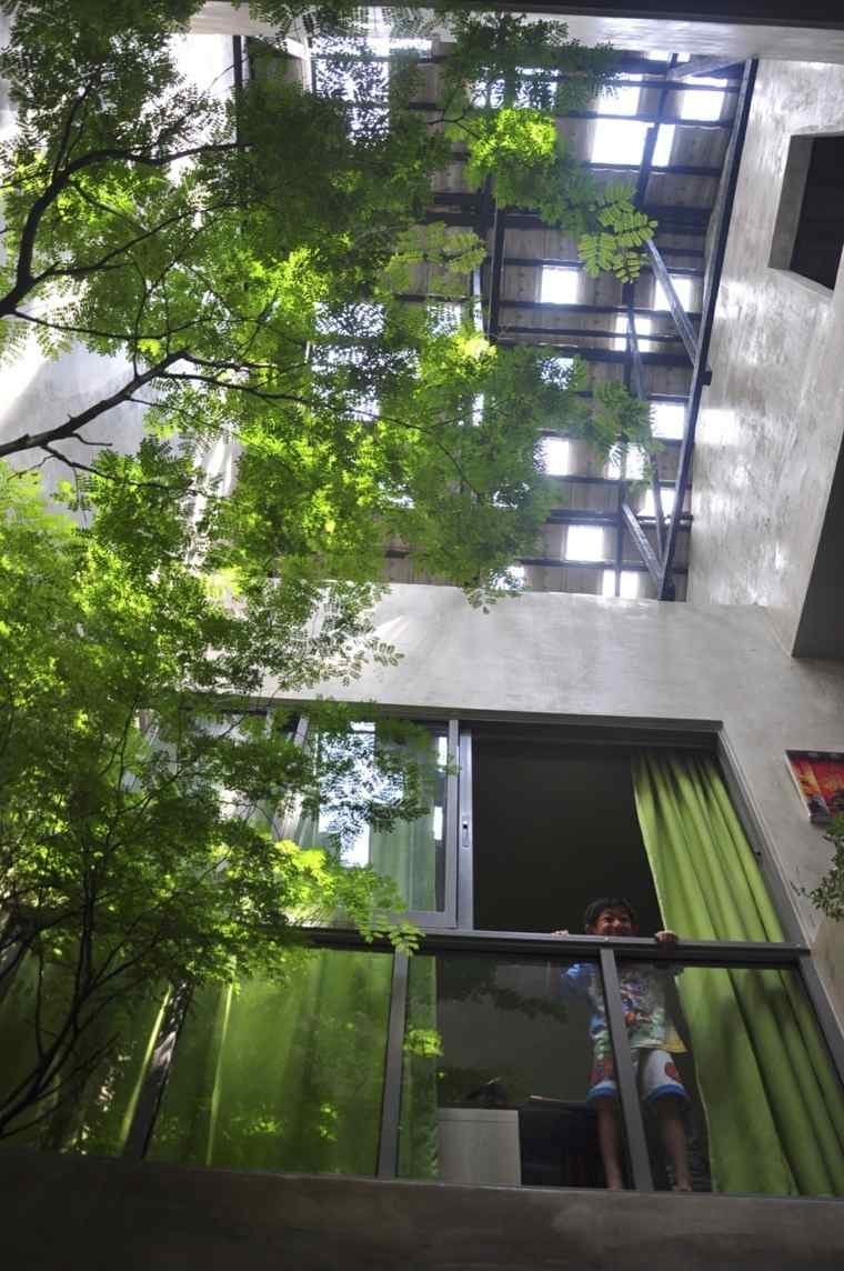 plante af'intérieur arbre patio jardin maison interieur