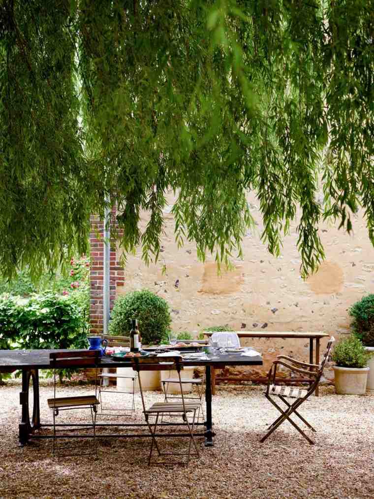 fast growing trees weeping willow garden