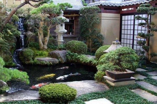 trees bushes japanese gardens zen