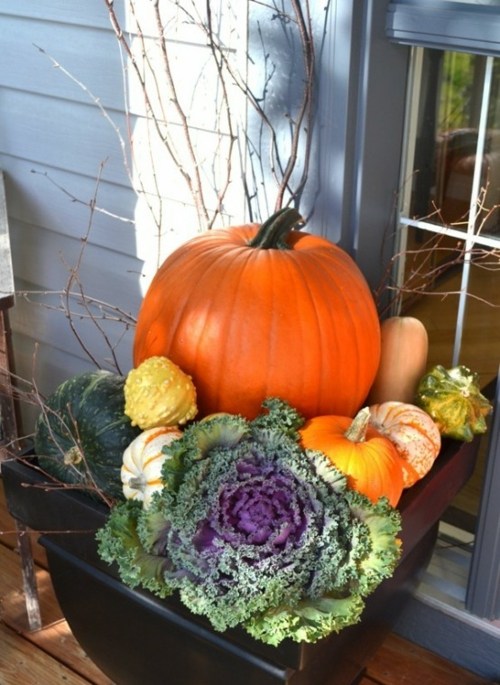 arrangement of vegetables