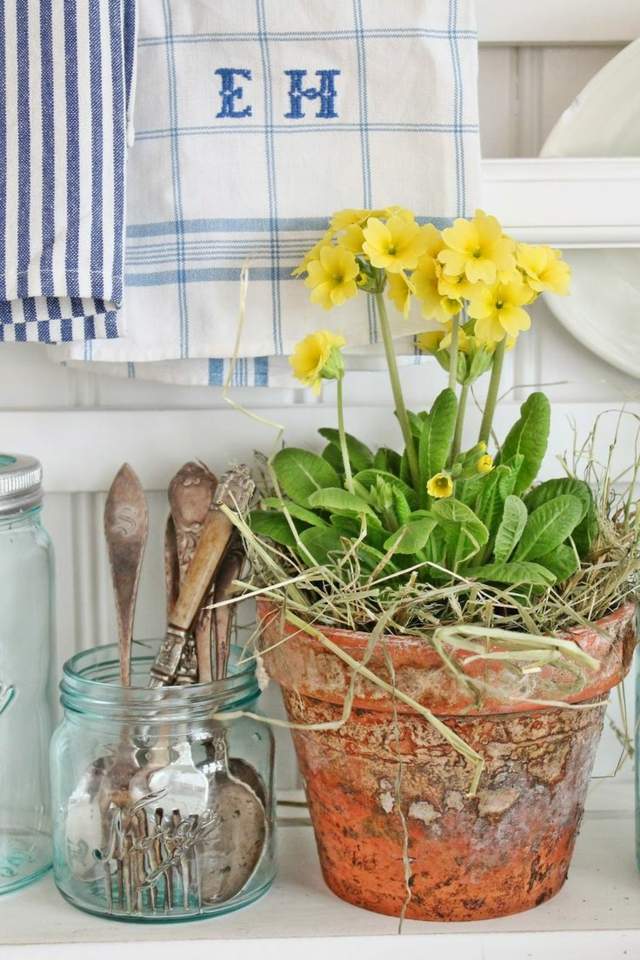 forår primrose blomster arrangement