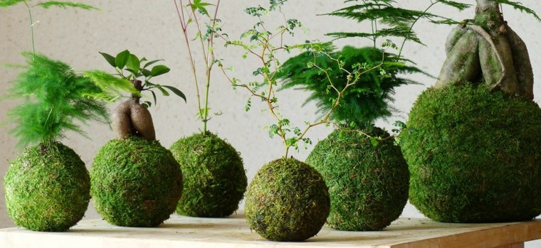 blomster kunst kokedama interiør dekoration mousse