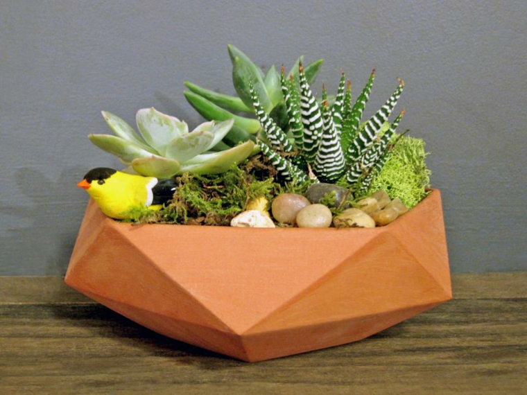 succulent floral art plants indoor