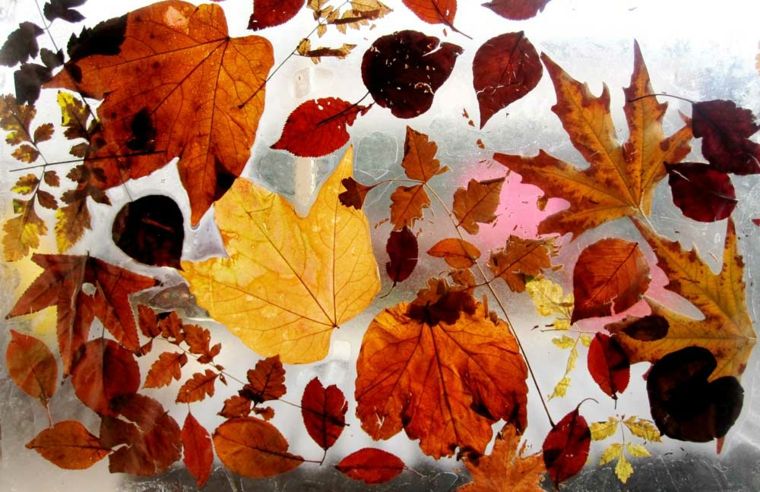 decoration autumn idea original leaves ideas diy