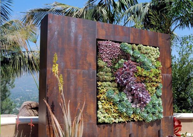 bins flowers rusty steel plant oily garden cactus