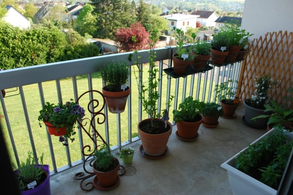 balcony decked with green flower pots