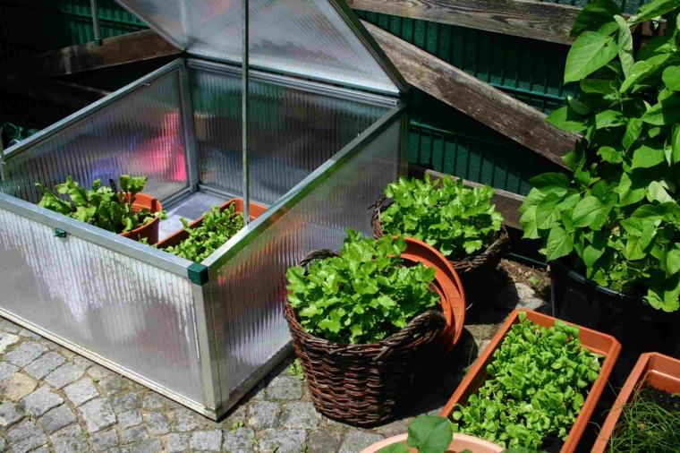 balcony idea vegetable garden vertical garden