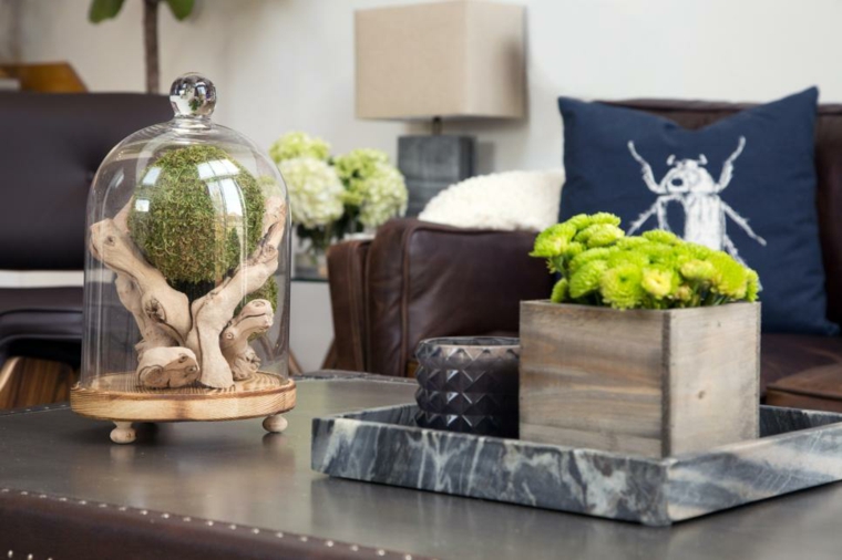 terrarium deco living mousse