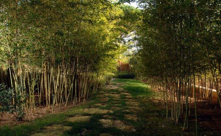 bamboo garden outdoor deco