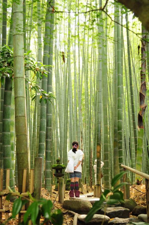 old bamboo