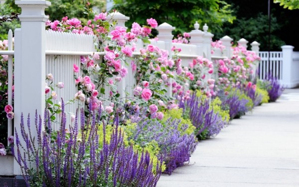 Breeze garden view garden fence white wood cute flowers