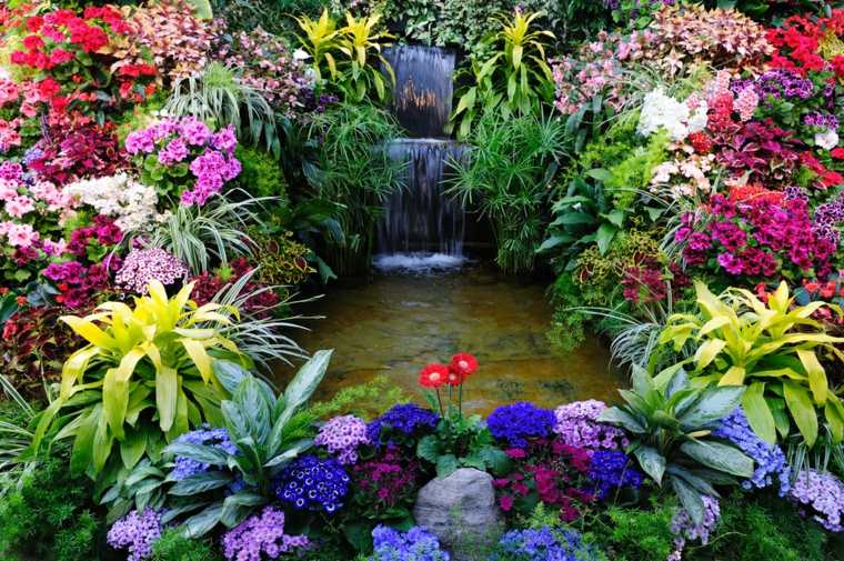 Aquatic gardens pond'eau idée jardin extérieur plantes déco