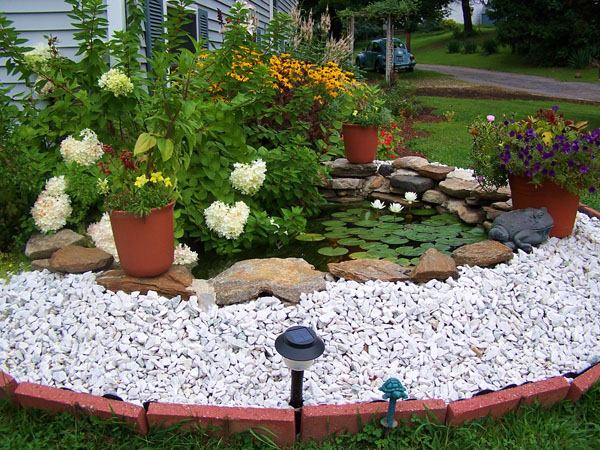 garden pond pebbles plants