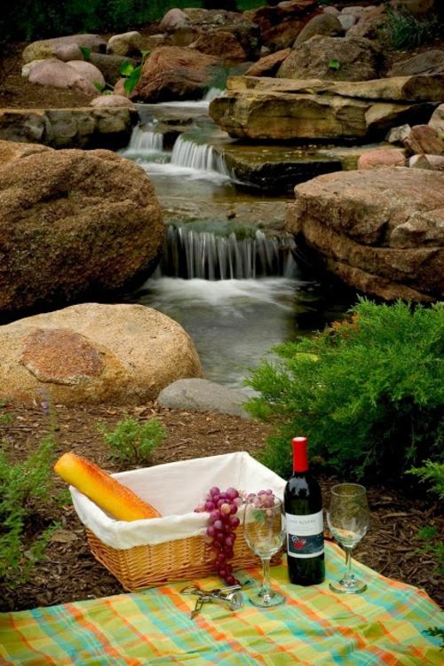 garden pond waterfall water picnic wine