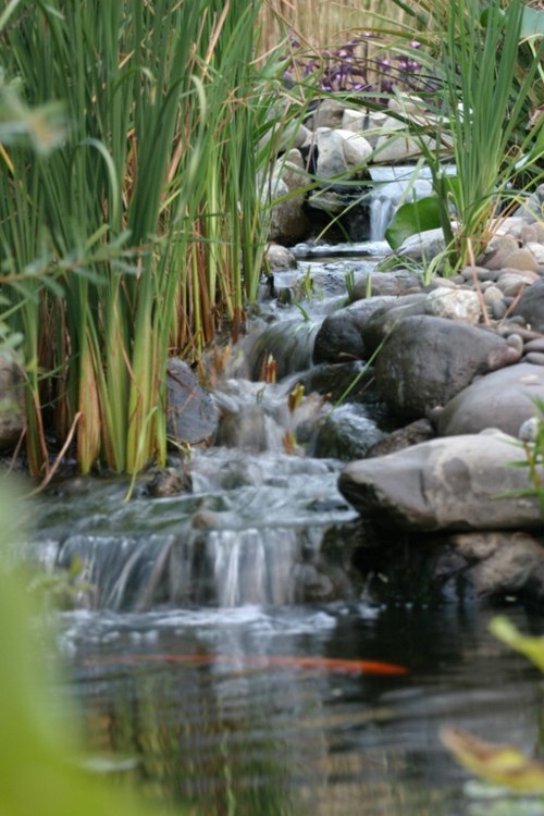 garden pond waterfall water stream stream