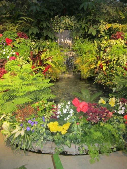 garden pond blooming flower fountain water