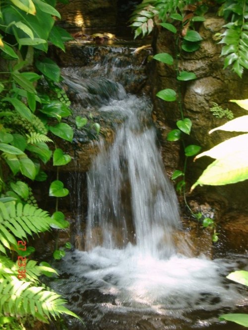 garden pond blur waterfall waterfall