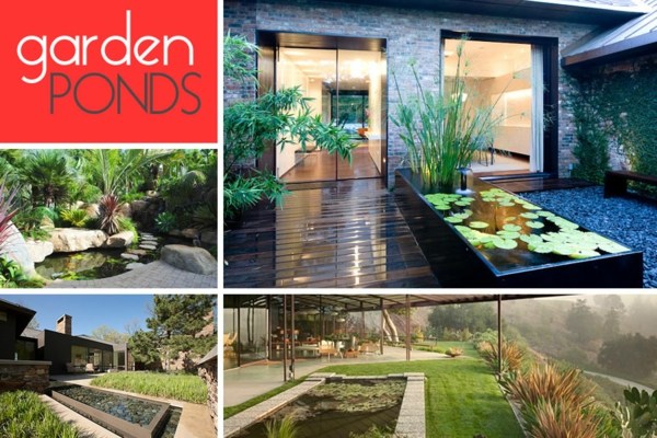 garden pond ideas landscaping