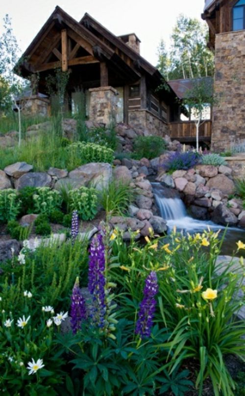 garden pond lupine flower hut wood