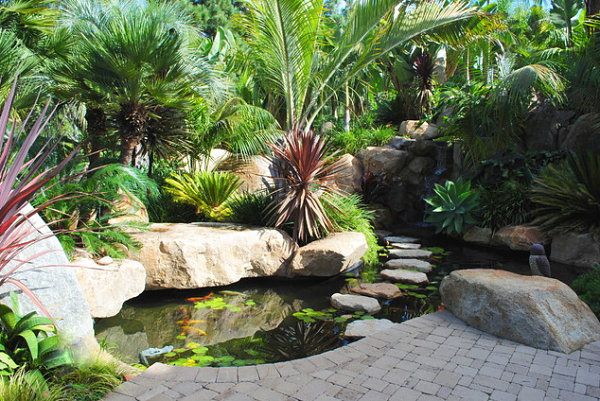 garden pond abundant vegetation