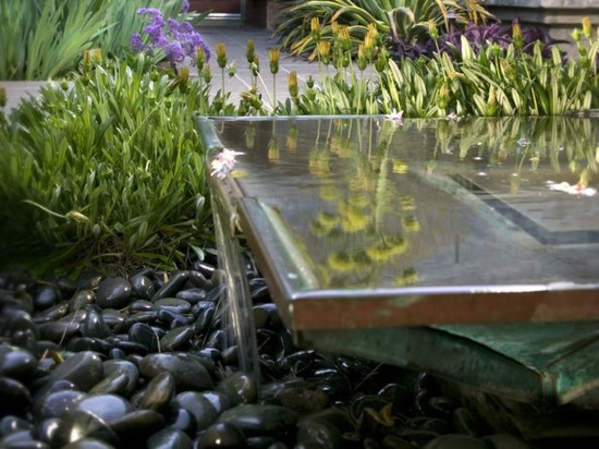 pond water garden zen