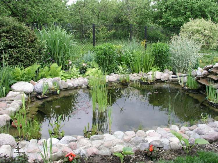 garden pond stone borders