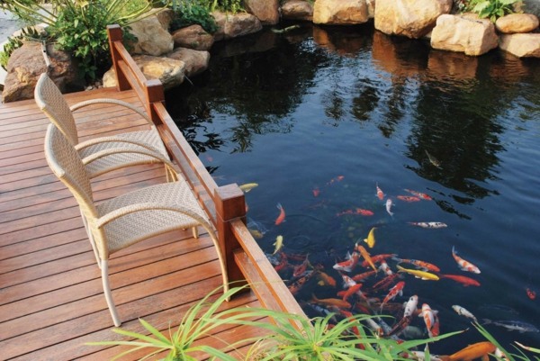 koi basin deck wood chairs