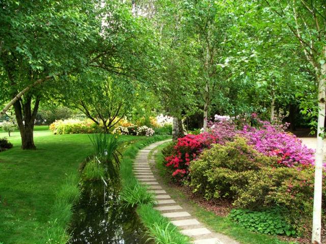 beautiful garden flowers small alley stones