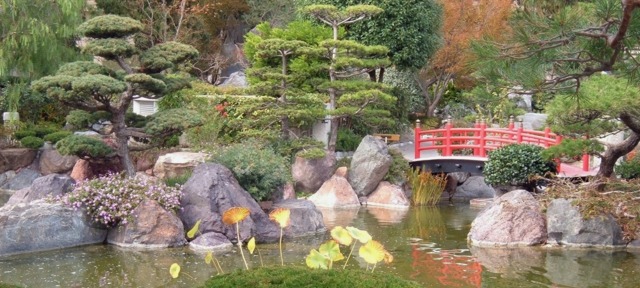 beautiful Japanese garden view bridge