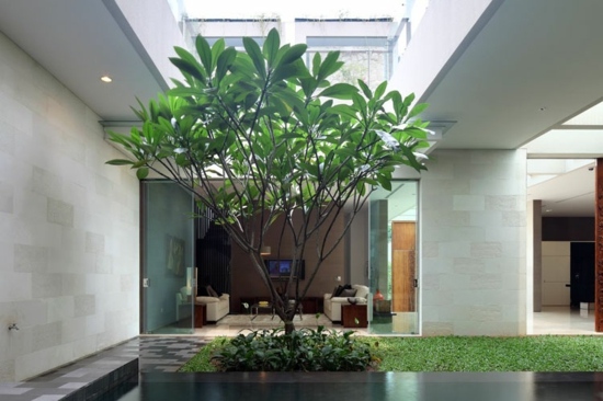 beautiful modern garden interior