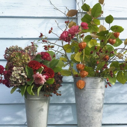 beautiful autumn flowers deco