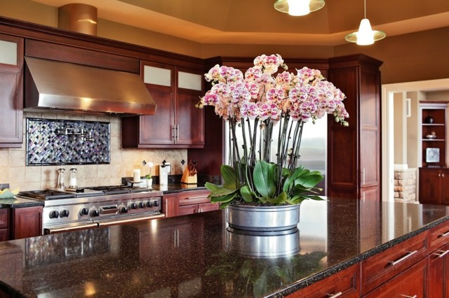 beautiful decoration dining room orchids