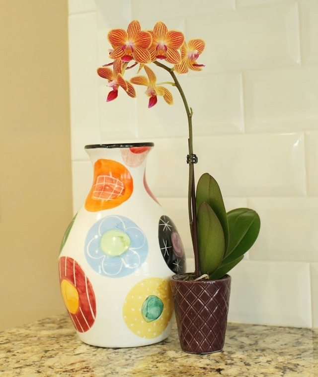 beautiful decoration simple orchidee orange